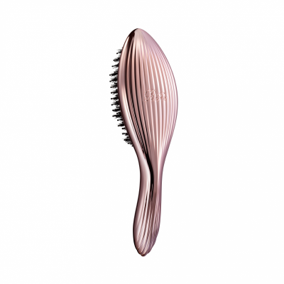 ReFa AILE BRUSH RAY